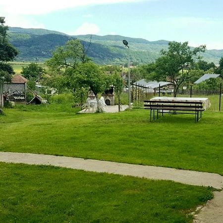 Pensiunea Adeluta Apartament Călimăneşti Exteriör bild