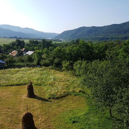 Pensiunea Adeluta Apartament Călimăneşti Exteriör bild