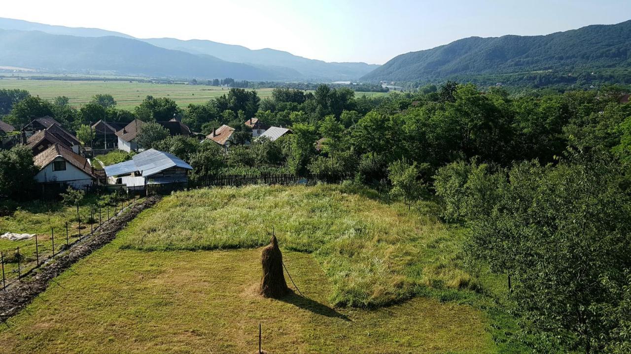 Pensiunea Adeluta Apartament Călimăneşti Exteriör bild