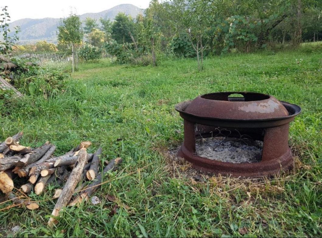 Pensiunea Adeluta Apartament Călimăneşti Exteriör bild